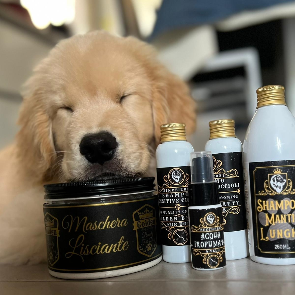 "Golden Retriever: Una Guida Completa alla Cura e al Benessere