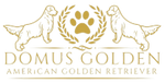  domusgolden