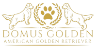  domusgolden