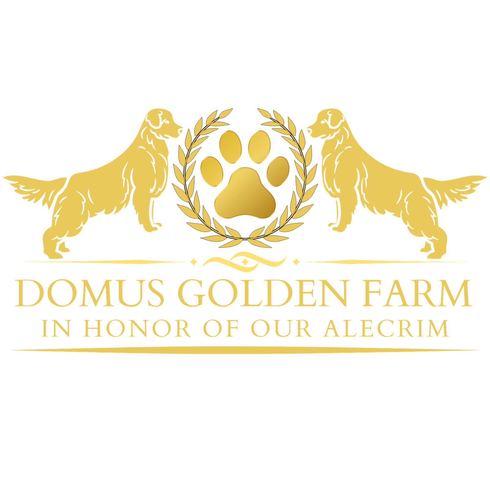 Domus Golden